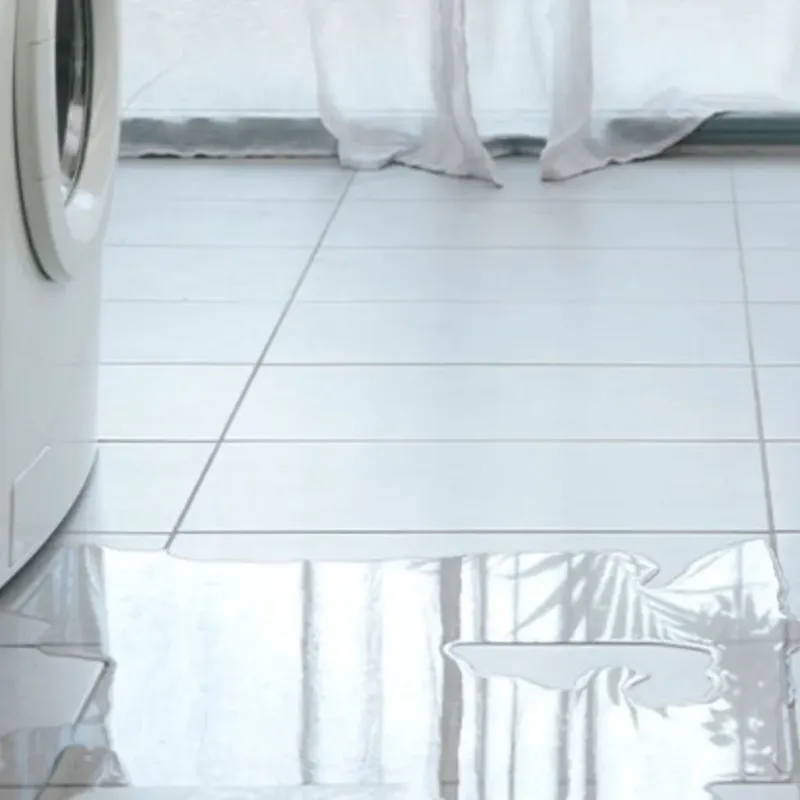 Appliance Leak Cleanup in Barry, IL