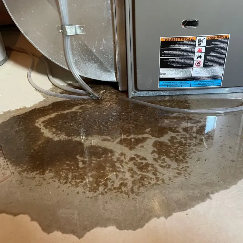 Pipe Burst and Leak Restoration in Barry, IL