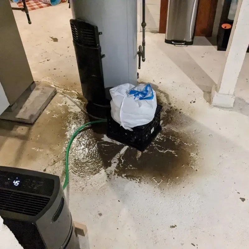Sewage Backup Cleanup Service in Barry, IL
